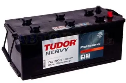 Автомобильные аккумуляторы Tudor Heavy Professional