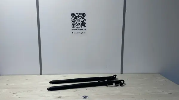 Амортизатор крышки багажника ZEEKR 001