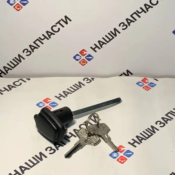 Личинка замка двери ГАЗ-3307, 4301 с ключом в сборе