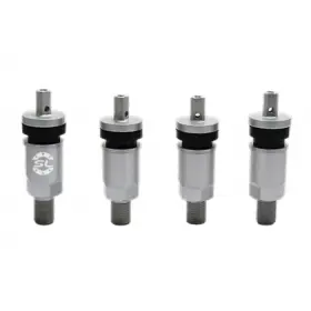 Комплект вентилей под датчик TPMS-02