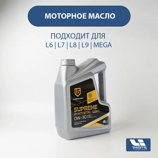 Моторное масло Lubrigard для LiXiang - 4 л