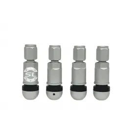 Комплект вентилей под датчик TPMS-01